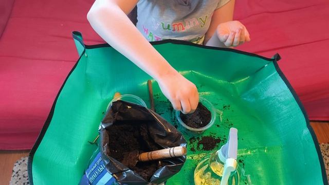 Моя 10-летняя дочь УДИВИЛА! Сама посеяла петунию. Посмотрите что у нее получилось!