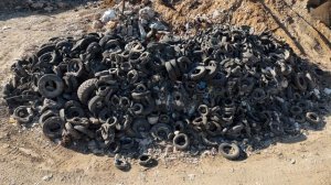 Экология_Episode