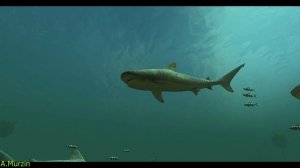 Masterminds Of Miracles 093 (Dhamika) Part 1