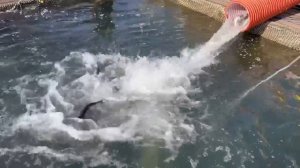 19.03.26 г. РК Волна.