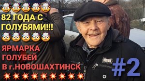 🤯🤯🤯 82 года с голубями!!! Ярмарка голубей в г.Новошахтинск.  Птичий рынок 08.03.26. Часть 2.