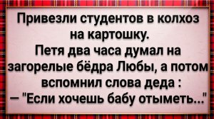 Как Студенты Картошку Копали! #анекдоты #прикол #ржака