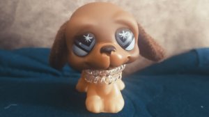 Будущее Канала?!