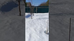 14 марта 2026г