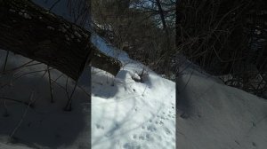 добываем воду