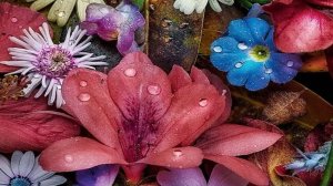 АПРЕЛЬ--РЫБЫ(астро)