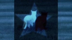 Юпи, FORTUNA 812 - Ангел