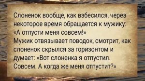 Жена_на_корпоратив_собирается_АНЕКДОТЫ_ДЛЯ_ВЗРОСЛЫХ_#анекдоты_#