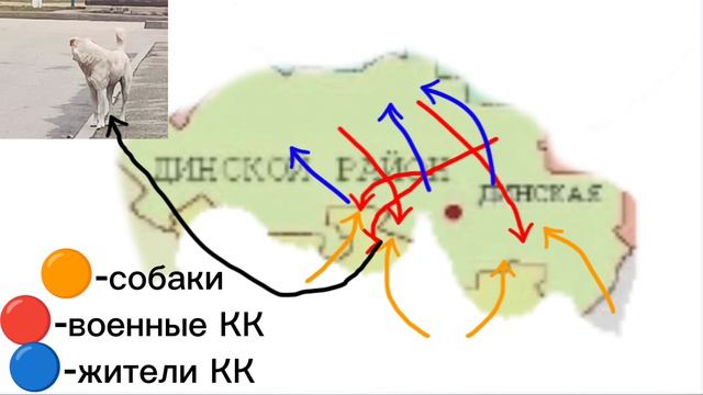 Нападения собак 2 новость