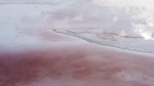 Одиссея - Музыкальная Выставка Алексея Ладыгина (СПб 12.12.2025)