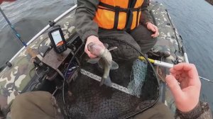 Ловим Очень Вкусных Щук. Самая Лучшая Рыбалка на затоке. Ловим с Лодки. Крутые Щуки. Рыбалка 2026