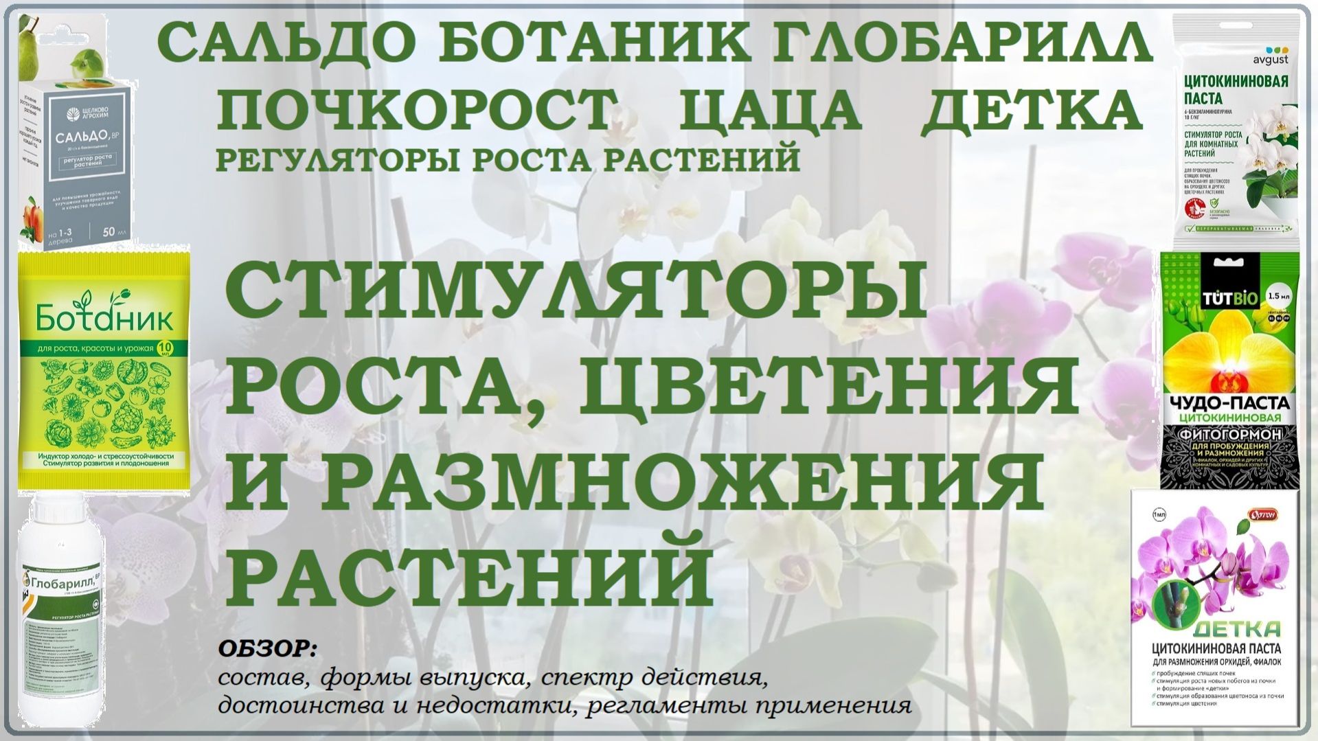 Сальдо, Ботаник, Глобарилл, Почкорост, Цаца и Детка – цитокининовые стимуляторы роста. Обзор