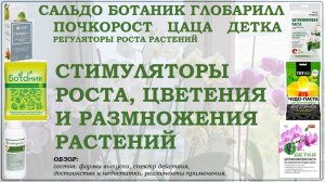 Сальдо, Ботаник, Глобарилл, Почкорост, Цаца и Детка – цитокининовые стимуляторы роста. Обзор