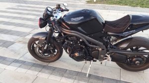 Бульдог на дороге / Triumph Speed Triple 1050 Обзор  / MD
