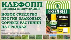 Клефопп – новое средство от злаковых сорняков на картофеле, капусте, моркови и луке. Обзор гербицида