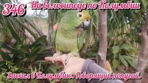 Заехал в Колумбию. Говорящий попугай. На велосипеде по Южной Америке День 346 Колумбия