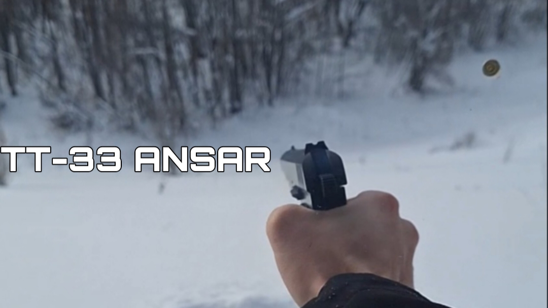 TT-33 ANSAR Разборка,Стрельбы,ТТХ