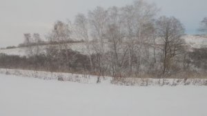 КАК ТЕЛЕФОН ЗАЙЦА СДАЛ, ОХОТА В САРАТОВСКОЙ ОБЛАСТИ