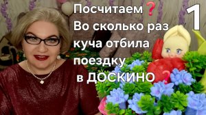 1 часть. Посчитаем❗️Отбилась ли поездка в ДОСКИНО❗️