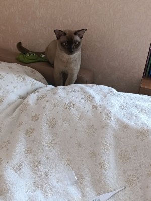 Новости и макияж в школу