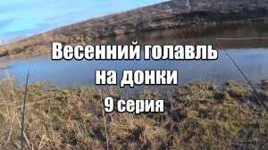 Весенний голавль на донки. 9 серия. Голавль на куриную печень и рыбью нарезку весной.