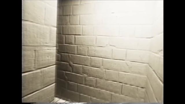 Backrooms 20 - Found footage #5