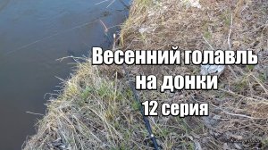 Весенний голавль на донки. 12 серия.