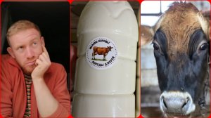 СКОЛЬКО СЛИВОК? СКОЛЬКО МАСЛА? СКОЛЬКО ТВОРОГА? ИЗ МОЛОКА ПОРОДЫ ДЖЕРСИ. СКОЛЬКО ДЕНЕГ? ВСЯ ПРАВДА!