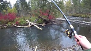 Нереально Крутая Рыбалка на Хариуса 2026. Увидели Медведя на Другом Берегу. Рыбалка 2026