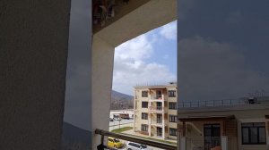 Ласточки в Сукко: ЖК Кипарис. Репортаж Светланы Тихоновны