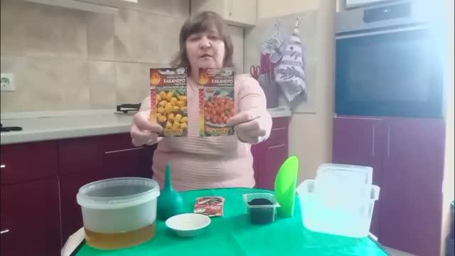 острые перцы\как сажаю и какие сорта выбрала для сезона 2026