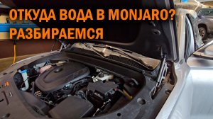 Разбираемся откуда вода в Монжаро. Версия с жабо - Автотехцентр SoundSpeed