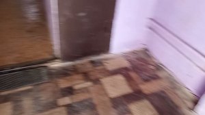 19-03-2026  иду тепло снега валом