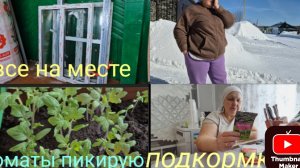 привезли окна и дверь/пикирую томаты/ помогаю Олегу/