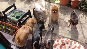 Пробуем выйти в прямой эфир, надеемся, что получится.)