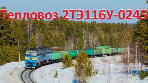 «Синий» Тепловоз 2ТЭ116У-0245 с грузовым поездом.