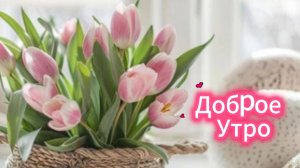 Доброе утро! Хорошего утра отличного настроения бодрости! ☀️🌈