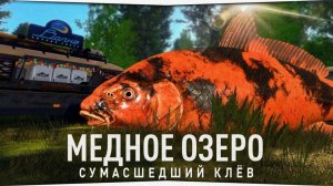 Играем в Russian Fishing 4 ловим разную рыбку на оз.Медное. (Турик) (Подарки)