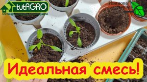 Забудьте о ПОДКОРМКАХ! Идеальная смесь для пикировки своими руками. Грунт для пикировки: Мой рецепт.