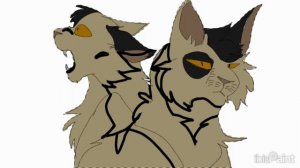 перезалить мне видео с моего ютуб канала?