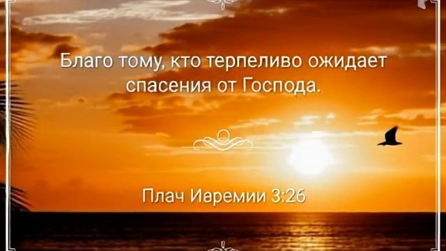 Стих дня смотреть онлайн
