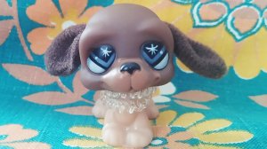 Песня про Настю!!!