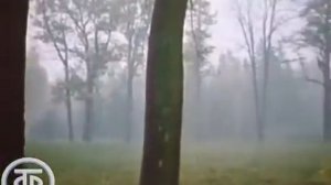 Очевидное - невероятное с Сергеем Капицей.(1988)