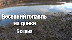 Весенний голавль на донки. 6 серия. Как удержать куриную печень на крючке.