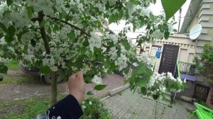 Влог от 26.05.2022