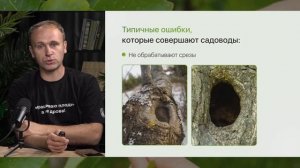 Самые распространённые ошибки садоводов — и как их избежать