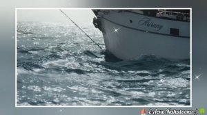 💜BTS - Где парусник мой?⛵