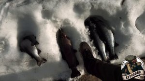 Интервью рыбака 19.03.2026