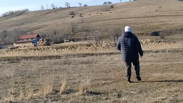 мой видеоблог