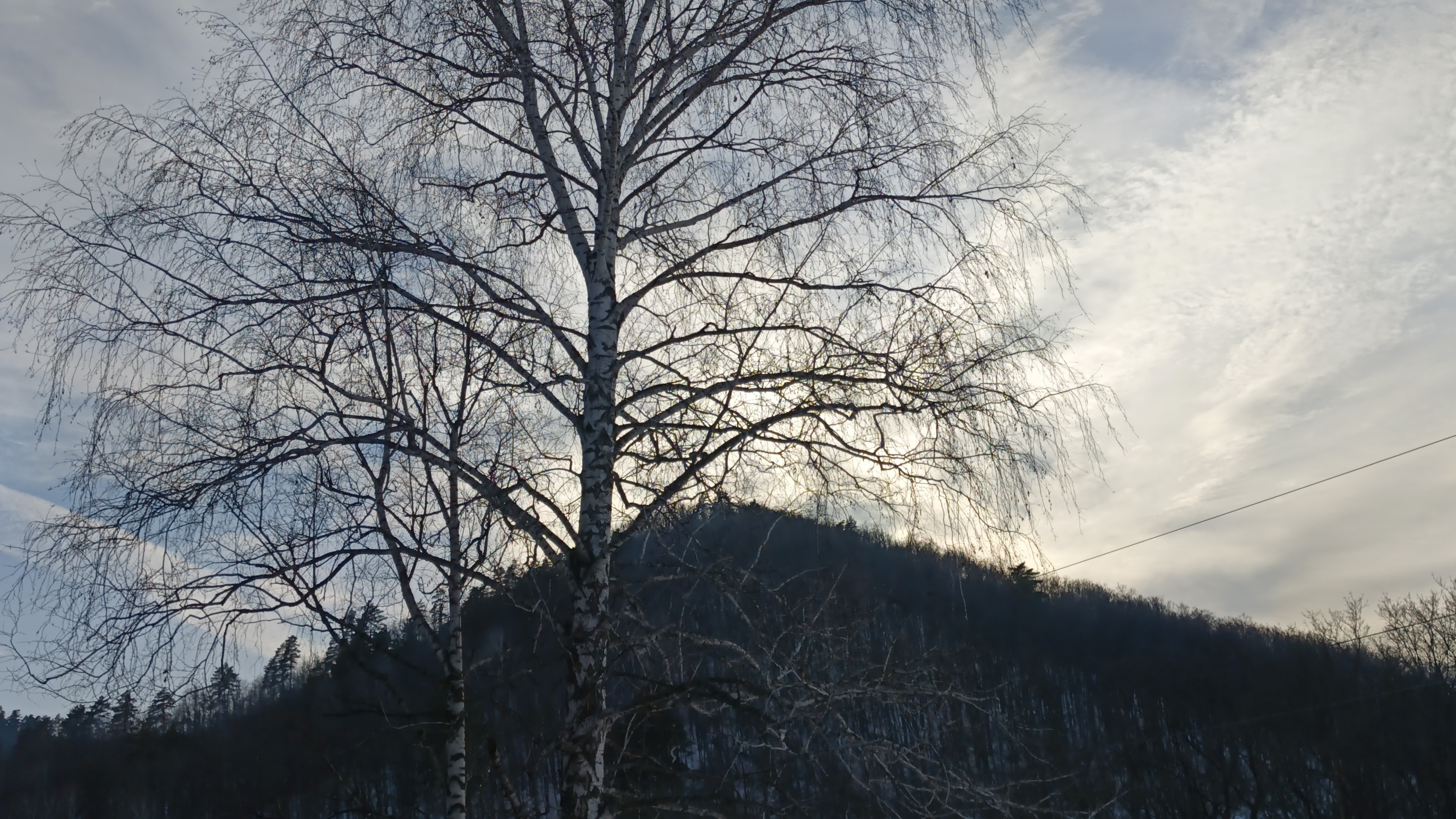 Велосезон 2026 года начался!